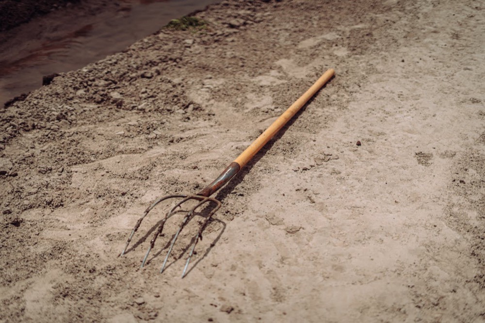 How Soil Types Influence Garden Growth in Clinton, MS