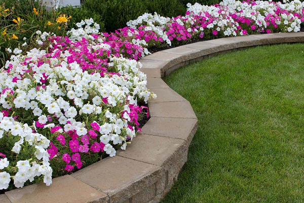 Professional Flower Bed Maintenance in Clinton, MS